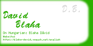 david blaha business card